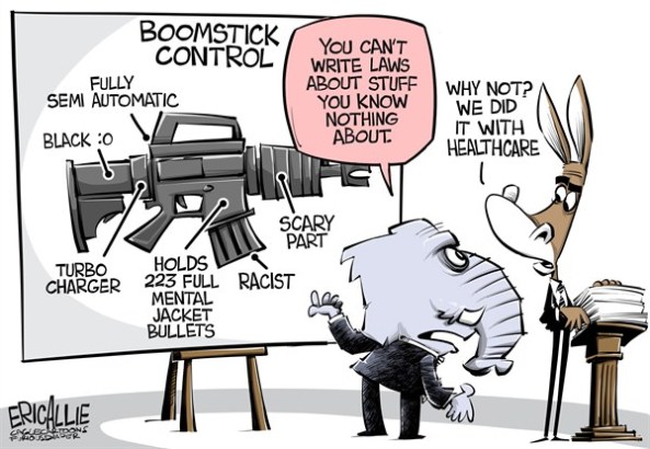 gun-control-cagle-cartoon.jpg?w=593&h=27